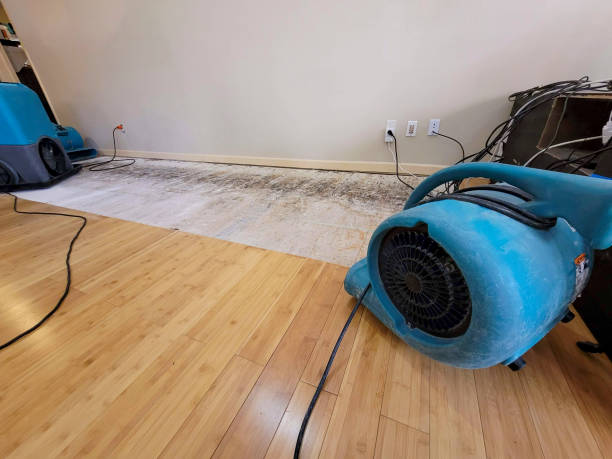 Professional Water Damage Repair technician working in Monrovia, CA